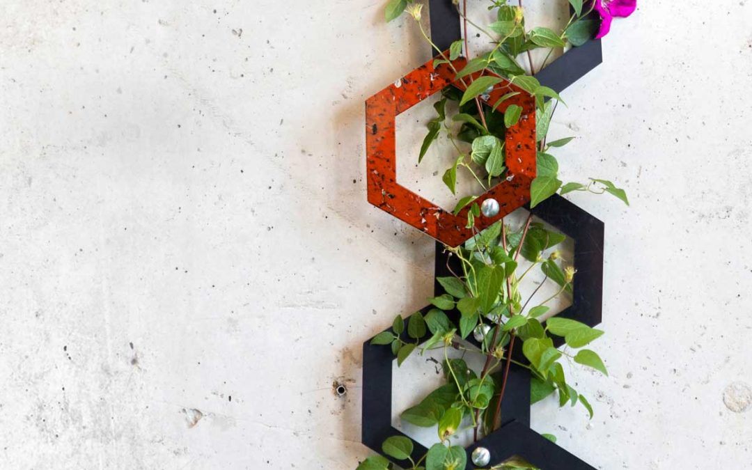 ASN – Plant trellis