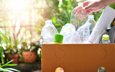 Trends Shaping the Future of Sustainable Plastic Packaging