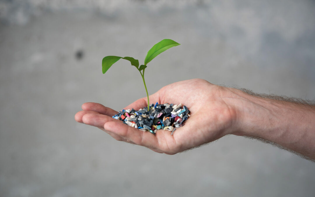 Defining Sustainability: Our Perspective on the Catch All Term