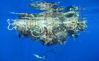 Tackling the Tide: Understanding and Addressing Plastic Pollution